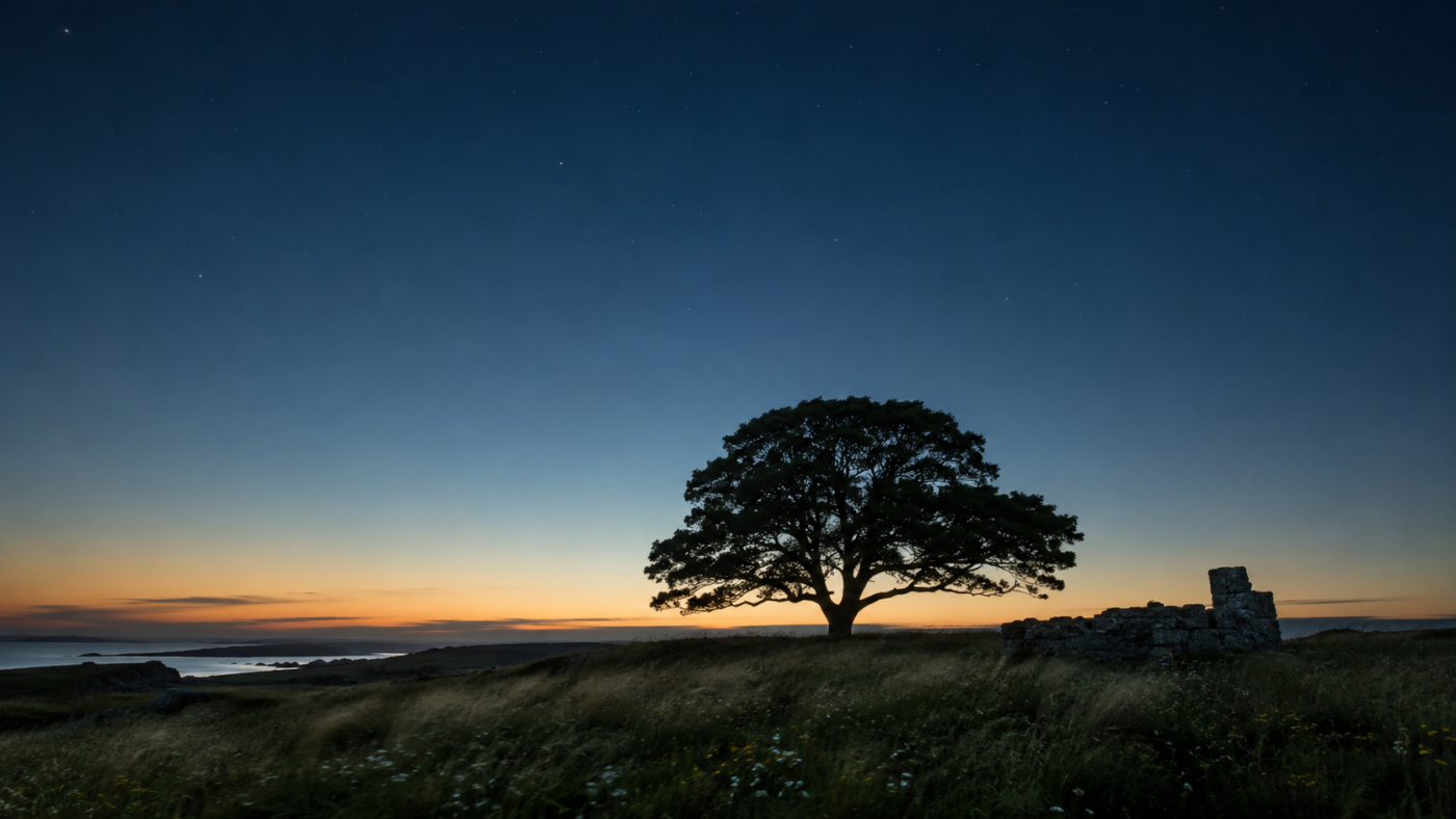 An ancient oak at the threshold of dusk and dark, stars beginning, the Celtic landscape held in stillness